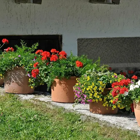 ファームステイ Kerschbaumerhof