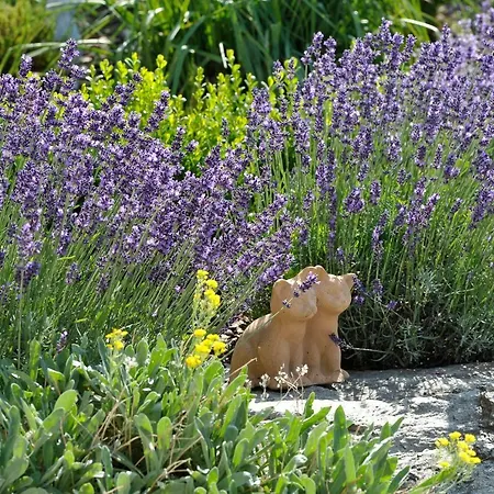 Farm stay Kerschbaumerhof