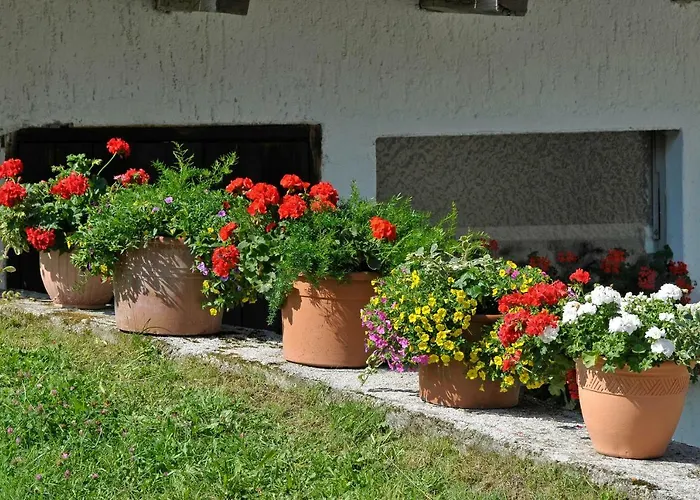 Vakantieboerderij Kerschbaumerhof