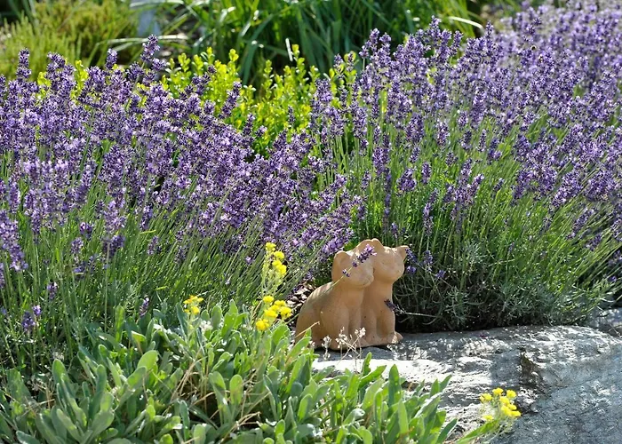 팜스테이 Kerschbaumerhof