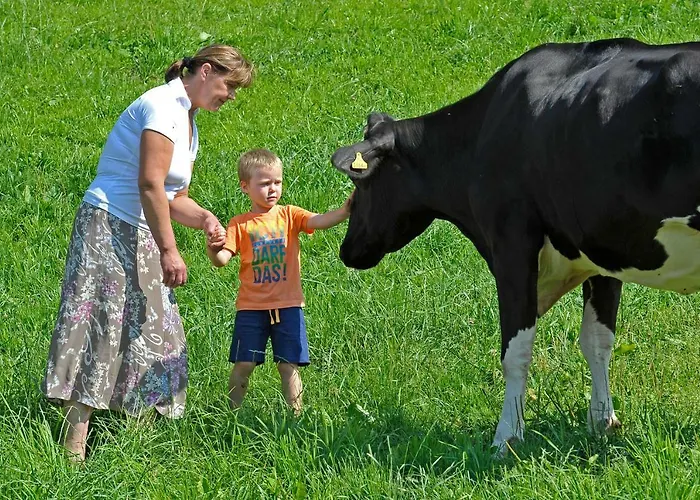 Kerschbaumerhof 슈라드밍