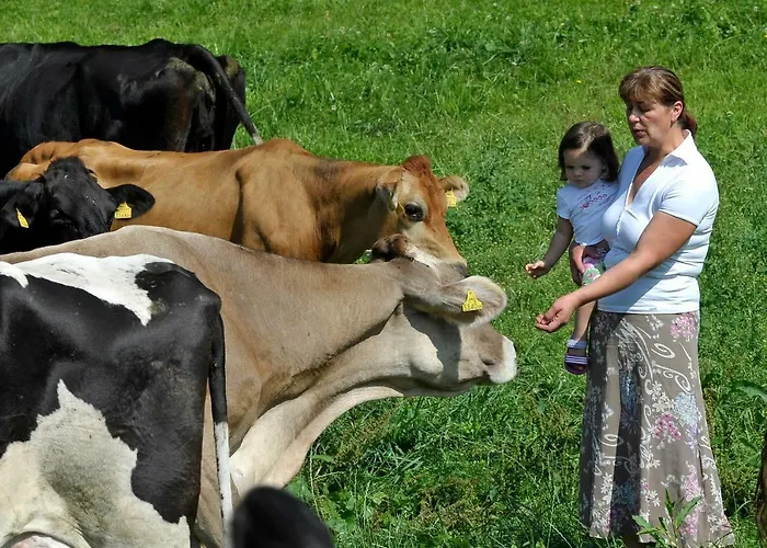 Kerschbaumerhof 팜스테이 *